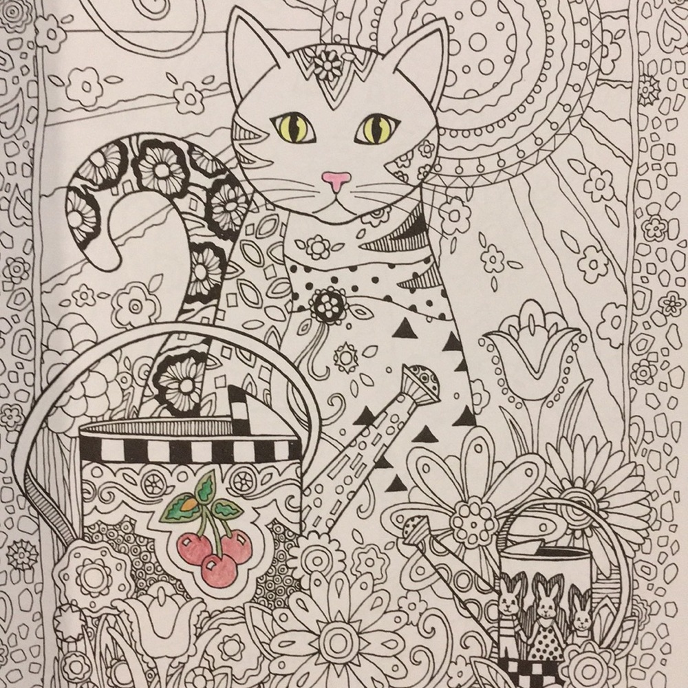 COLORING BOOKS - Picture 6 of 8